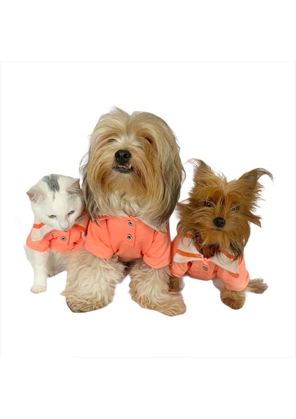 Salmon Flash Polo Yaka Tişört Kedi Kıyafeti Kedi Elbisesi indirimleri