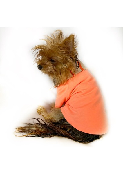 Salmon Flash Polo Yaka Tişört Köpek Kıyafeti Köpek Elbisesi indirimleri
