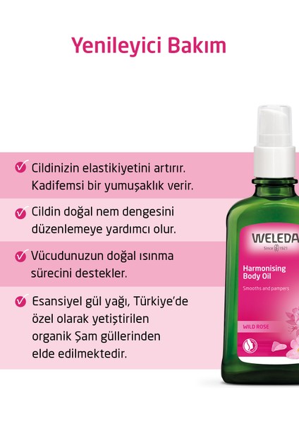 Organik Yabani Gül Özlü Yenileyici Vücut Bakım Yağı 100ml