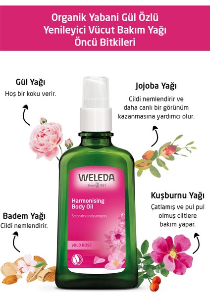 Organik Yabani Gül Özlü Yenileyici Vücut Bakım Yağı 100ml
