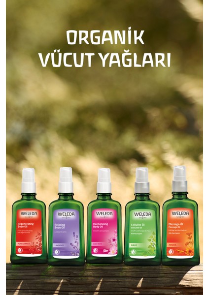 Organik Yabani Gül Özlü Yenileyici Vücut Bakım Yağı 100ml
