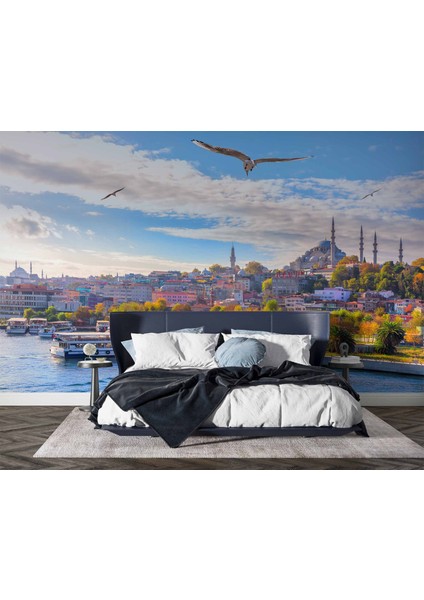 Istanbul Eminönü Süleymaniye Camii Manzaralı Duvar Kağıdı