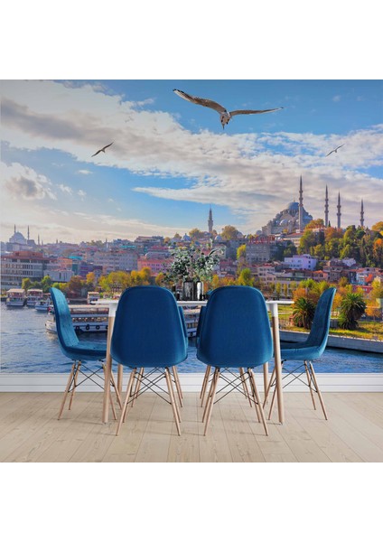 Istanbul Eminönü Süleymaniye Camii Manzaralı Duvar Kağıdı