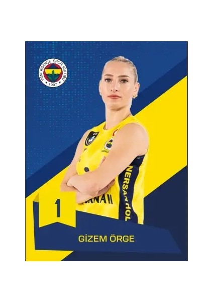 Fenerbahçe Voleybol Tam Set Sezon Kartları - Kutu fiyatları