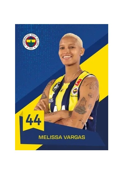 Fenerbahçe Voleybol Tam Set Sezon Kartları - Kutu fırsatları