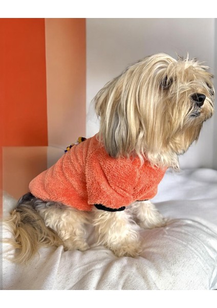 Turuncu Ikizler Kapşonlu Sweat By Kemique Köpek Kazağı