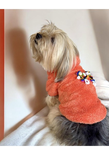 Turuncu Ikizler Kapşonlu Sweat By Kemique Köpek Kazağı fiyatları