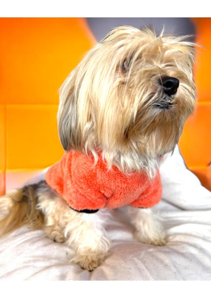 Turuncu Ikizler Kapşonlu Sweat By Kemique Köpek Kazağı indirimleri