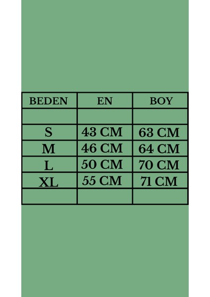 Kadın 3 Iplik Şardonlu Kapüşonlu Desenli Sweatshirt indirimleri