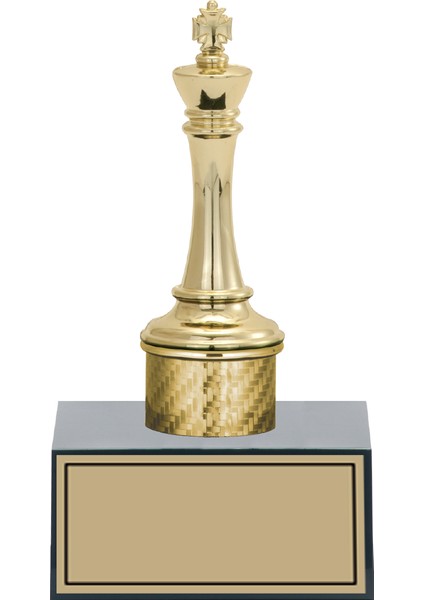 Kişiye Özel Satranç Figürlü Kupa-Okul Kupası-Ödül Kupası-Turnuva Kupası 17 cm SATRANÇ-FG001-B-17CM