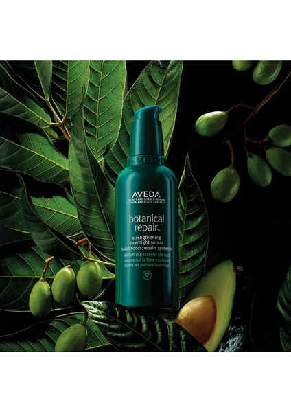 Botanical Repair Overnight Yoğun Onarım Gece Saç Bakım Serumu (100 Ml) fiyatları