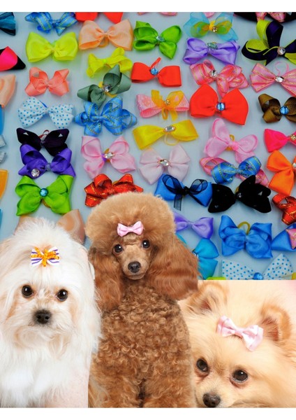 Köpek Toka Karışık 10 Adet - Lüks Taşlı Fiyonk Aksesuar Lastikli Toka