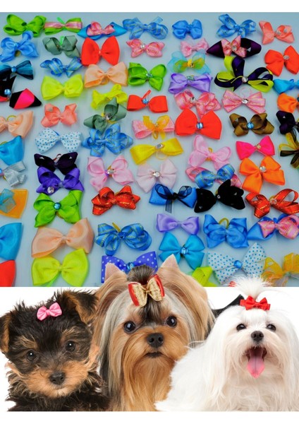 Köpek Toka Karışık 10 Adet - Lüks Taşlı Fiyonk Aksesuar Lastikli Toka fiyatları