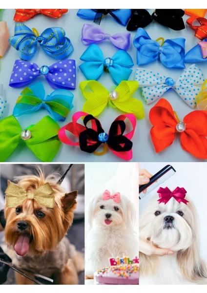 Köpek Toka Karışık 10 Adet - Lüks Taşlı Fiyonk Aksesuar Lastikli Toka modelleri