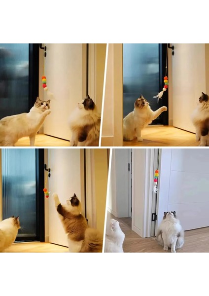 Elastik Kendinden Yapışkanlı Kedi Oyun Oltası modelleri