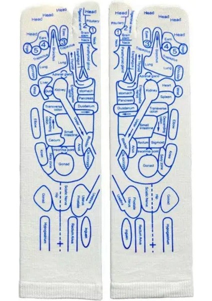 Ayak Refleksoloji Çorap Masaj Seti (1 Çift Çorap ve 2 Adet Refleksoloji Çubuğu)