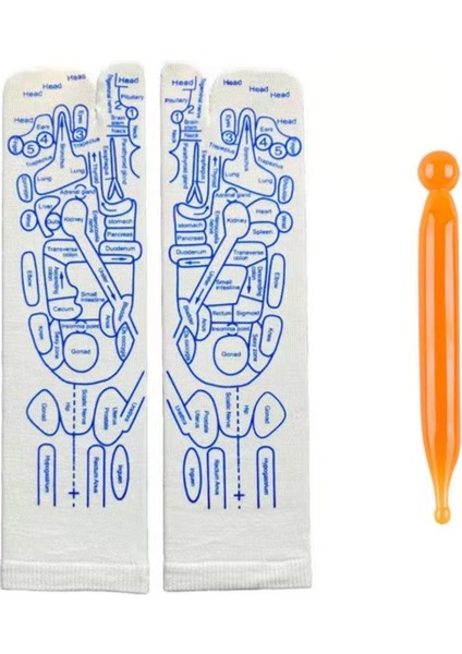 Ayak Refleksoloji Çorap Masaj Seti (1 Çift Çorap ve 2 Adet Refleksoloji Çubuğu) modelleri