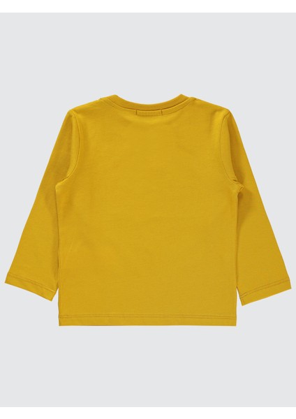 Erkek Çocuk Sweatshirt 2-5 Yaş Hardal fiyatları