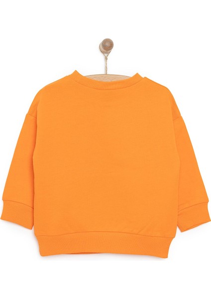 Minnie Mouse Kız Sweatshirt Kız Bebek fiyatları