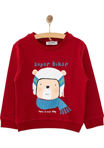 Basic Az Şardonlu Aslan Desenli Sweatshirt Erkek Bebek