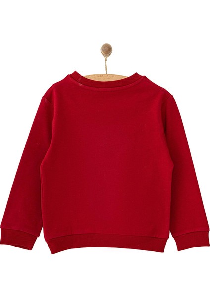 Basic Az Şardonlu Aslan Desenli Sweatshirt Erkek Bebek