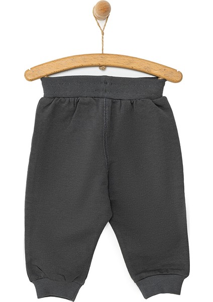 Basic Az Şardonlu Eşofman Alt Erkek Bebek