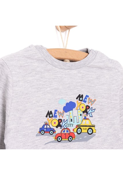 Basic Az Şardonlu Aslan Desenli Sweatshirt Erkek Bebek fiyatları