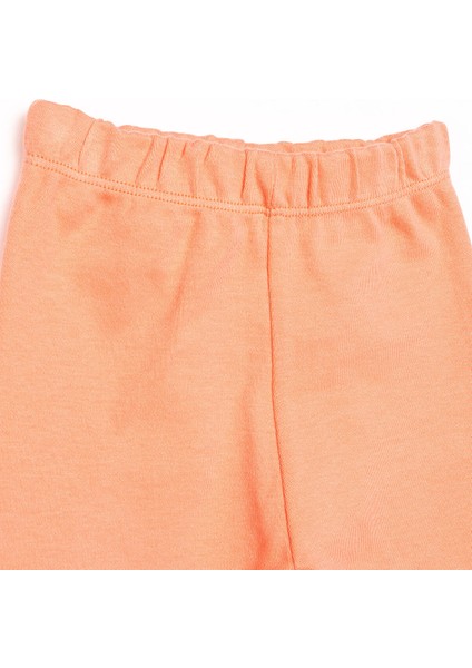 Kız 2li Çoraplı Pantolon Metraj Kız Bebek modelleri