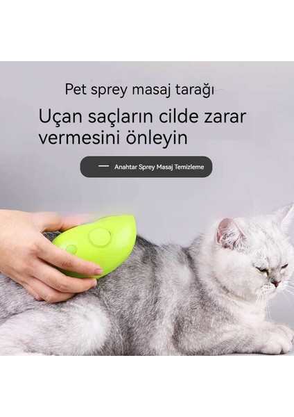 Cat Buharlı Fırça Kedi Fırçası Evcil Hayvan Kedi Saç Fırçası Malzemeleri Şarj Edilebilir (Yurt Dışından)