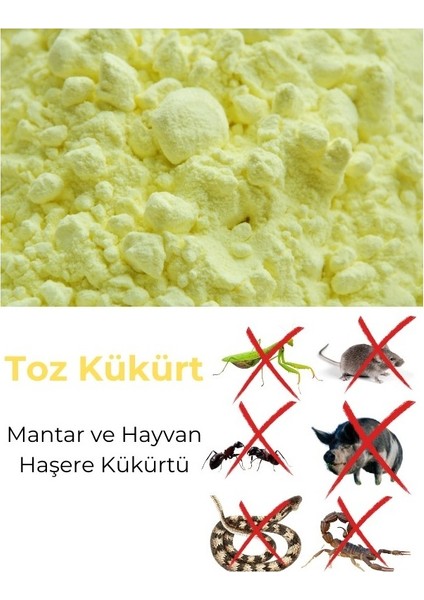 Altın Kükürt Toz Kükürt Mantar Haşare Kükürtü 1 kg