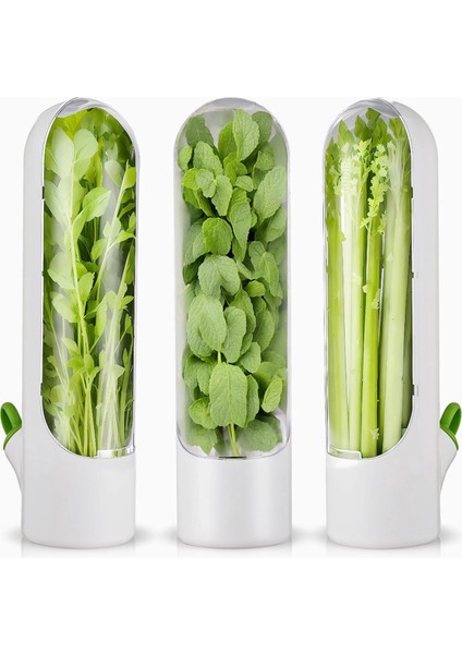 3pcs Buzdolabı Için Bitki Tasarrufu Buzdolabı Için Bitki Tazeleri Kaleci, Kişniş, Maydanoz, Kuşkonmaz Için Bitki Depolama (Yurt Dışından)