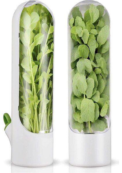3pcs Buzdolabı Için Bitki Tasarrufu Buzdolabı Için Bitki Tazeleri Kaleci, Kişniş, Maydanoz, Kuşkonmaz Için Bitki Depolama (Yurt Dışından) fiyatları