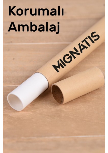 Tekno Trust Yılbaşı Süslemeleri Mutlu Yıllar Kar Taneleri Vitrin Cam Vitrin Düzenlemesi 76X115 cm - Yeşil modelleri