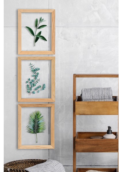 Regina Ocaliptus 3 Parça Ahşap Çerçeveli Cam Üstü Baskı Tablo Seti 28 x 66 cm modelleri