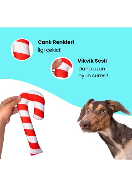 Havrika Yıllar Köpek Oyuncak Seti Köpek Atkısı S M L Hışırtılı Peluş Kurabiye Vikvikli Peluş Şeker fırsatları