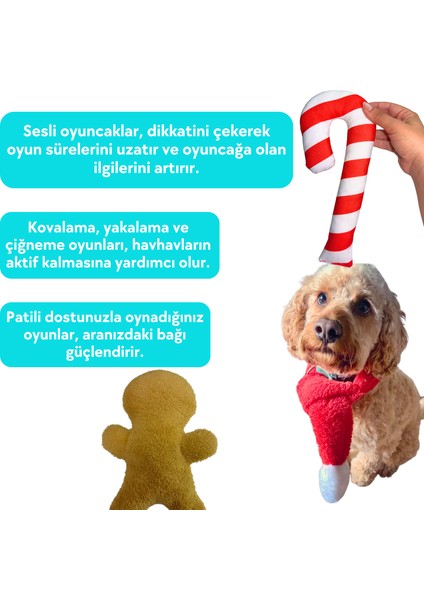 Havrika Yıllar Köpek Oyuncak Seti Köpek Atkısı S M L Hışırtılı Peluş Kurabiye Vikvikli Peluş Şeker indirimleri