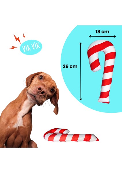 Havrika Yıllar Köpek Oyuncak Seti Köpek Atkısı S M L Hışırtılı Peluş Kurabiye Vikvikli Peluş Şeker