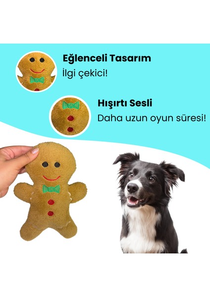 Havrika Yıllar Köpek Oyuncak Seti Köpek Atkısı S M L Hışırtılı Peluş Kurabiye Vikvikli Peluş Şeker