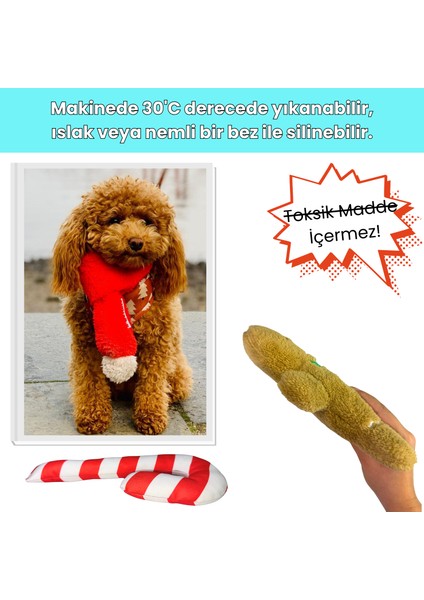 Havrika Yıllar Köpek Oyuncak Seti Köpek Atkısı S M L Hışırtılı Peluş Kurabiye Vikvikli Peluş Şeker