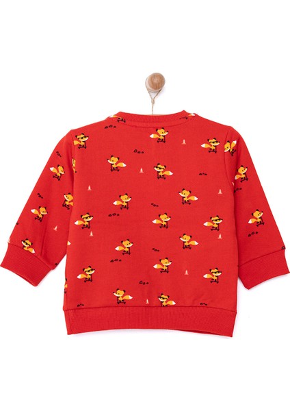 Basic Az Şardonlu Wild One Baskılı Sweatshirt Erkek Bebek