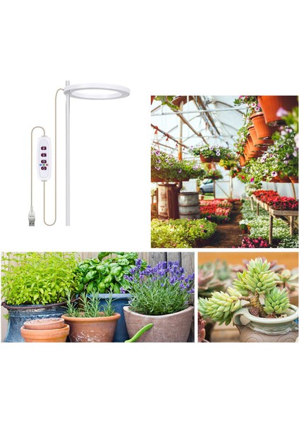 2x LED Büyümek Işık Tam Spektrum Phyto Büyümek Lamba USB Melek Halka Lamba Succulents Için, Çiçek Bitkileri Büyüme (Güneş Işığı) (Yurt Dışından)