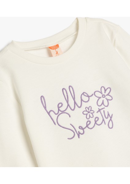 Nakış Detaylı Uzun Kollu Pamuklu Basic Sweatshirt