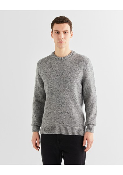 Erkek Gri Regular Fit Bisiklet Yaka Kazak 8040200.93