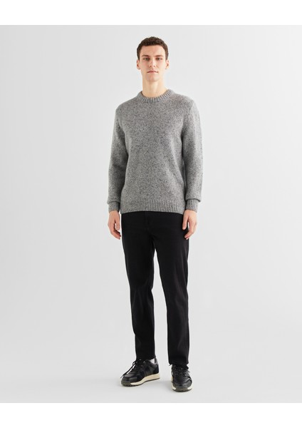 Erkek Gri Regular Fit Bisiklet Yaka Kazak 8040200.93 modelleri
