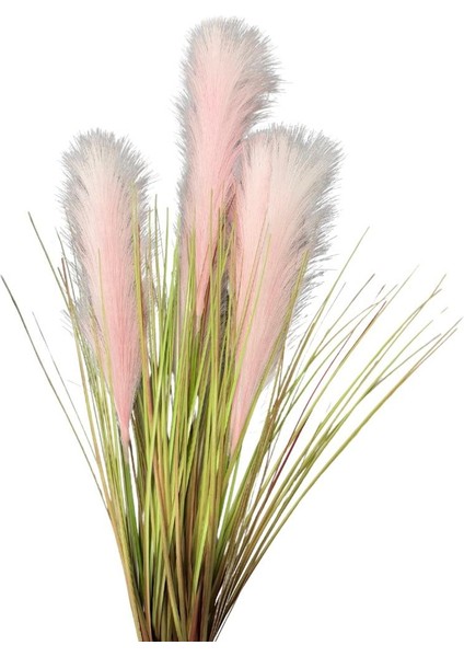 4'lü Pembe Pampas Tüy