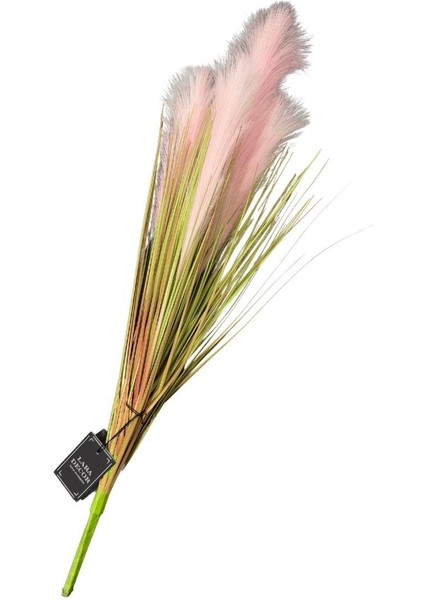 4'lü Pembe Pampas Tüy