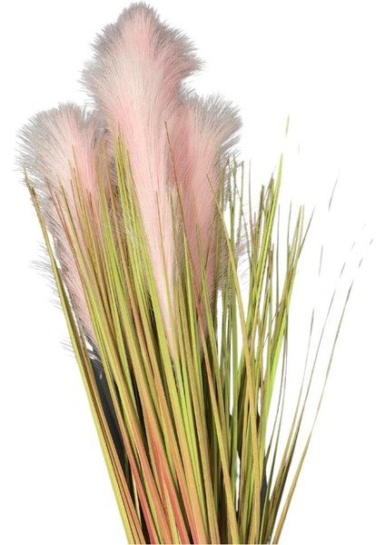 4'lü Pembe Pampas Tüy