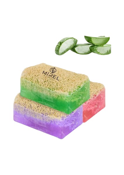 Doğal Kabak Lifli Sabun 3'lü Set - Kabak Lifli Aloe Vera Sabun - Peeling Etkili