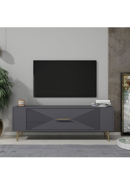 RETROL1DH Tv Sehpasi Antrasit Altin