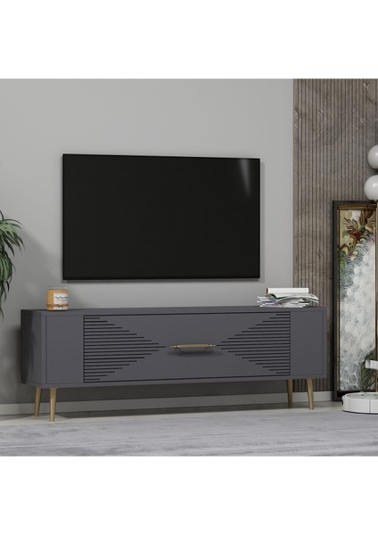 RETROL1DH Tv Sehpasi Antrasit Altin fiyatları